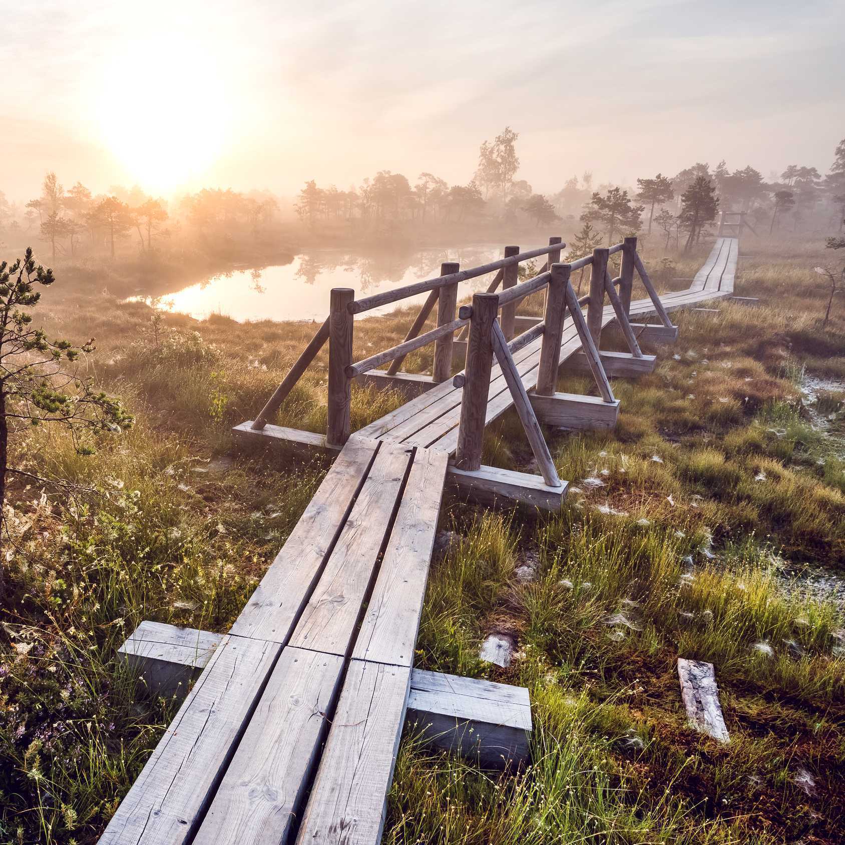 travel leisure baltic